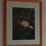 La Maison De Julia 3*