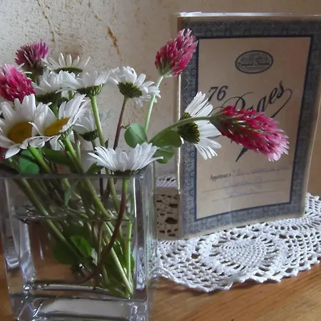 Гостевой дом La Maison De Julia Blanzac (Haute Loire)