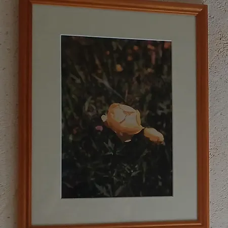 La Maison De Julia 3*