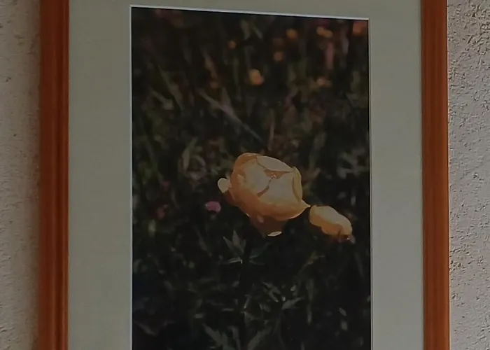 La Maison De Julia 3*